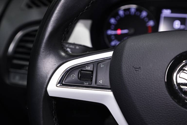 SKODA Fabia 17