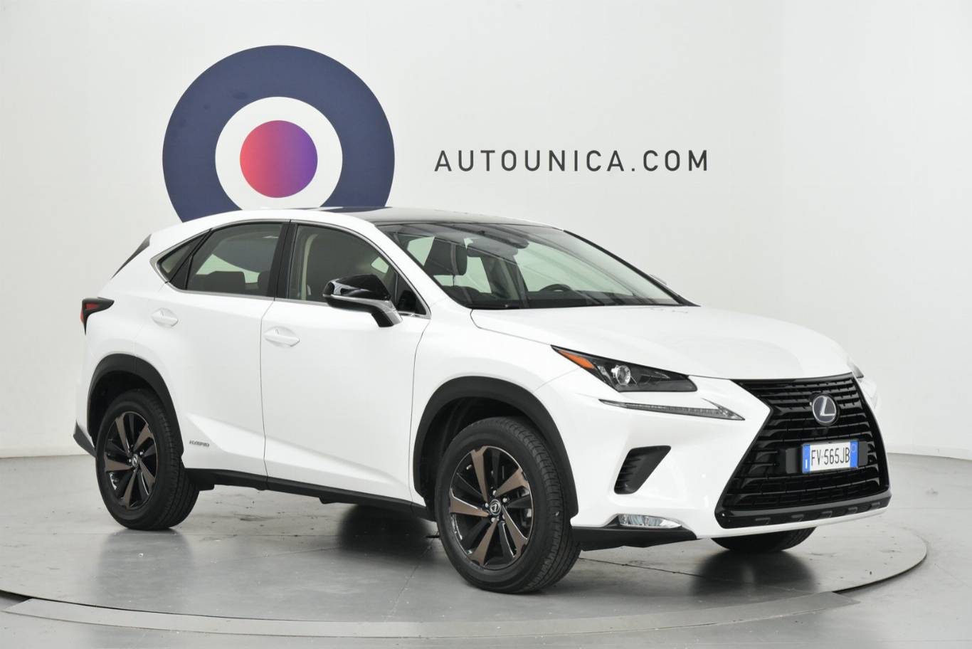 LEXUS NX 300 31