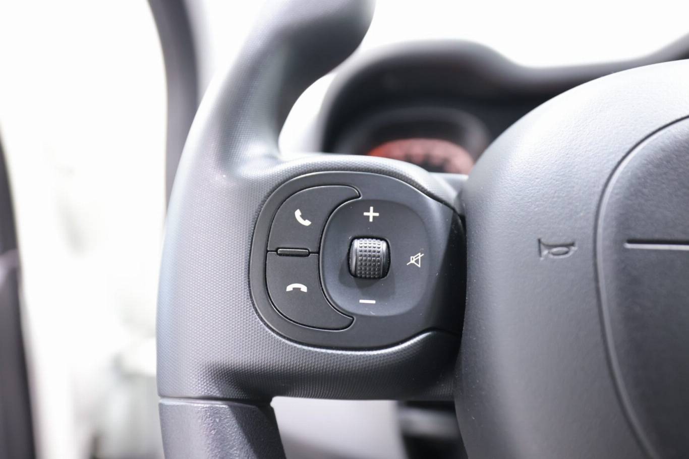 FIAT Panda Cross 17
