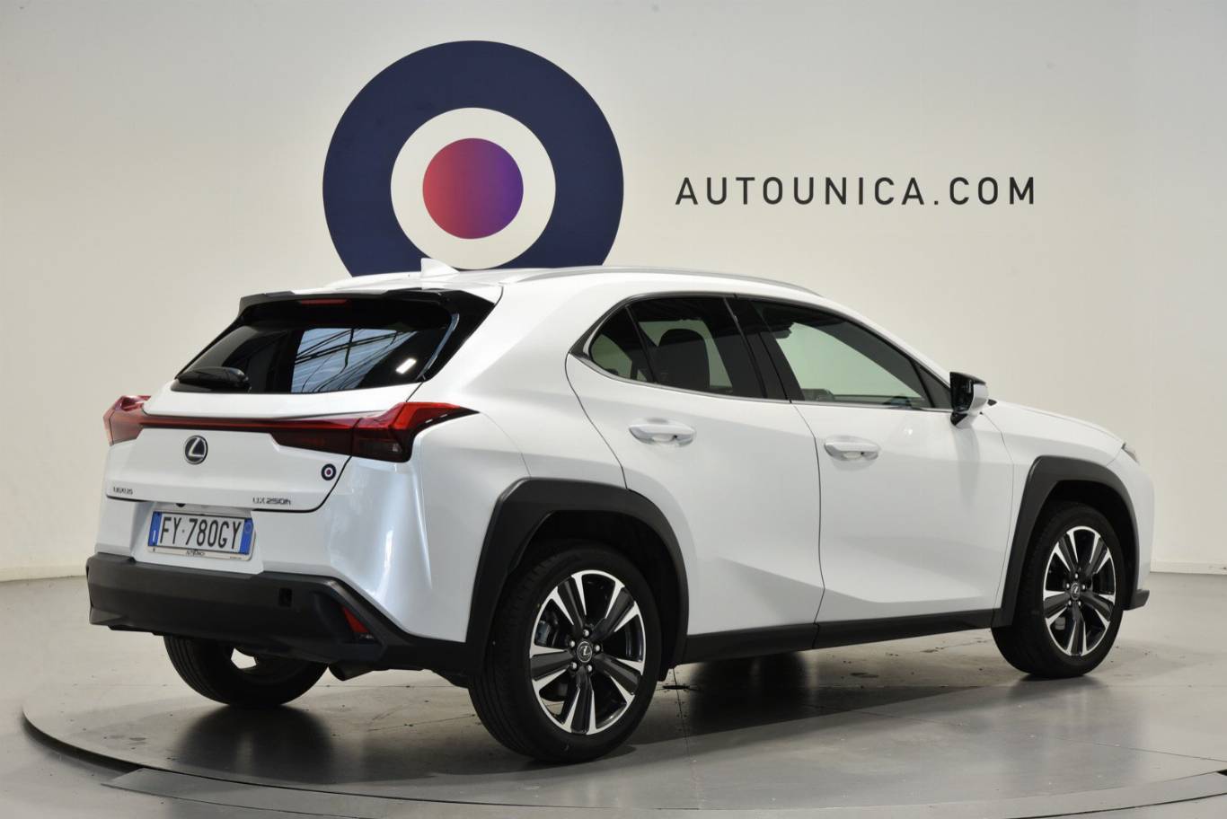LEXUS UX 250h 30