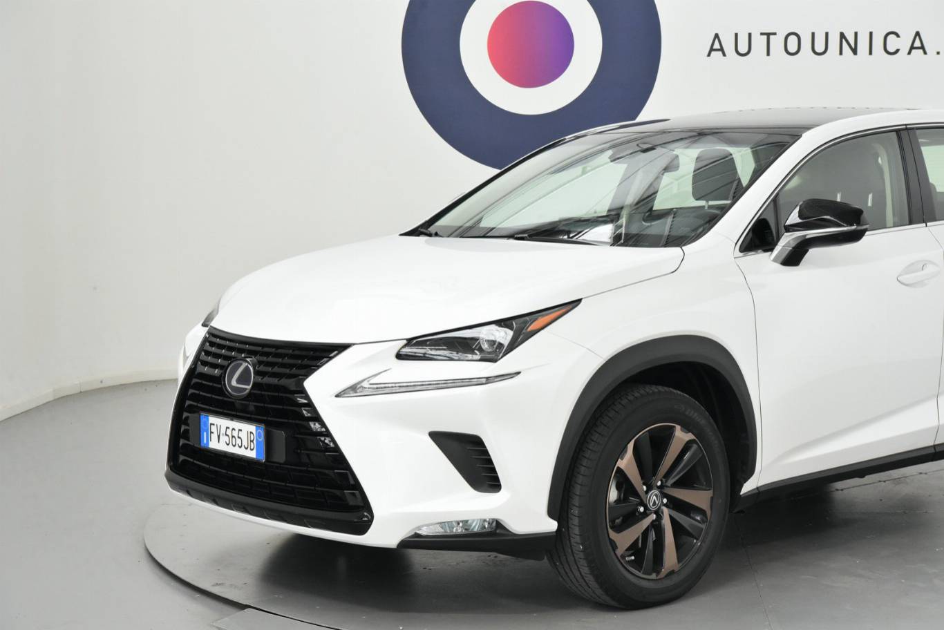 LEXUS NX 300 14