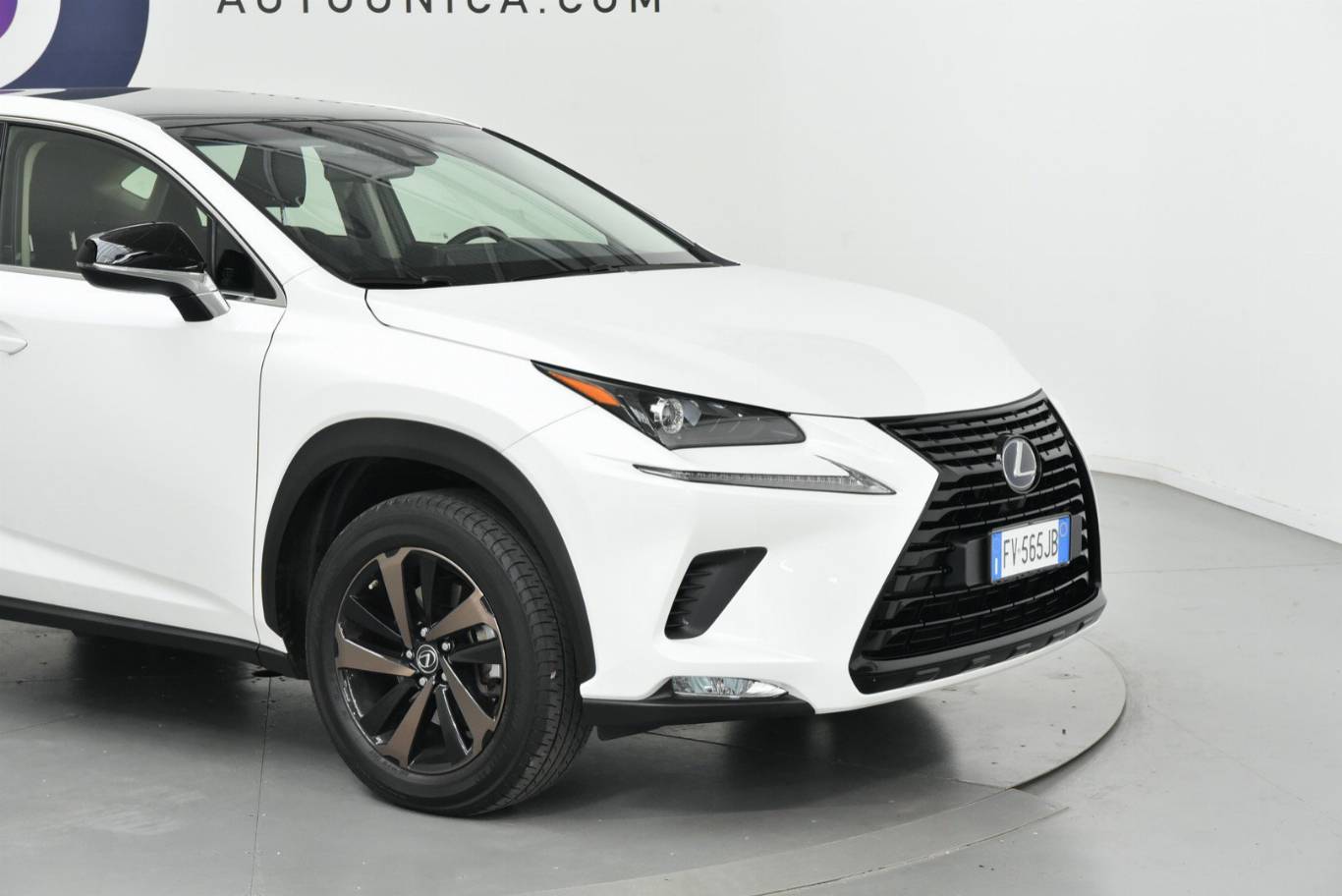 LEXUS NX 300 33