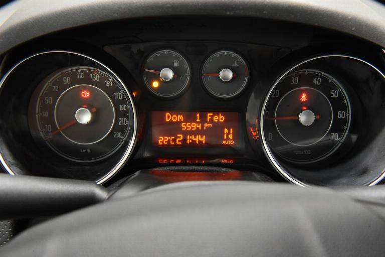 FIAT Punto Evo 22