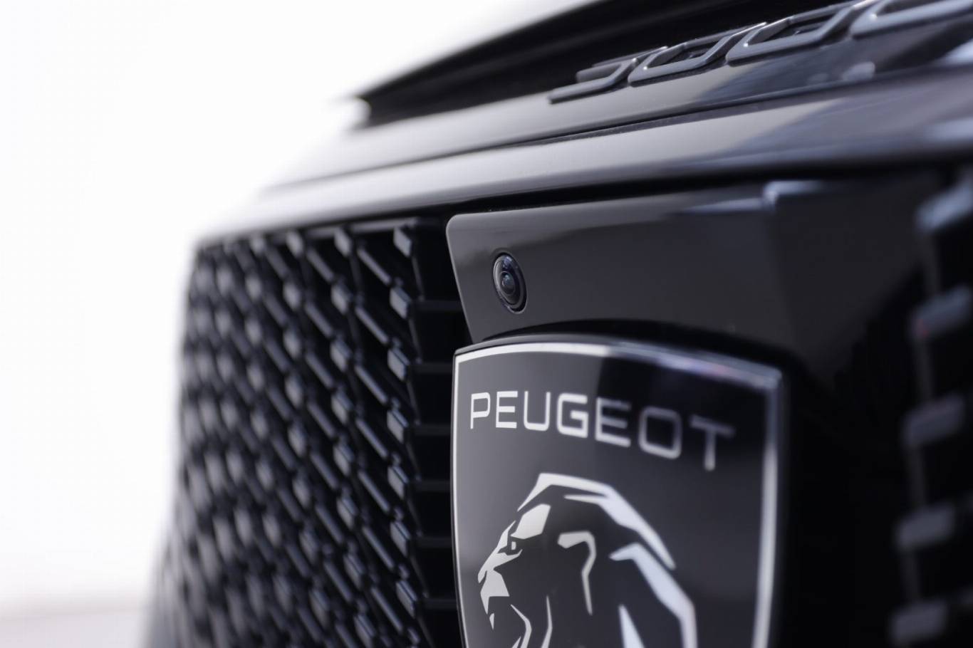 PEUGEOT 3008 52