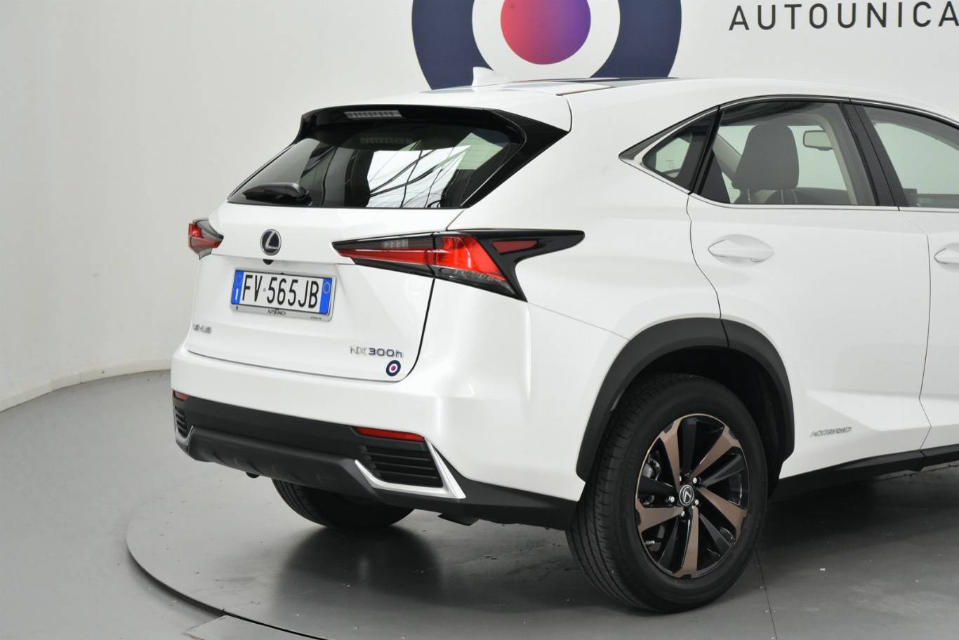 LEXUS NX 300 16