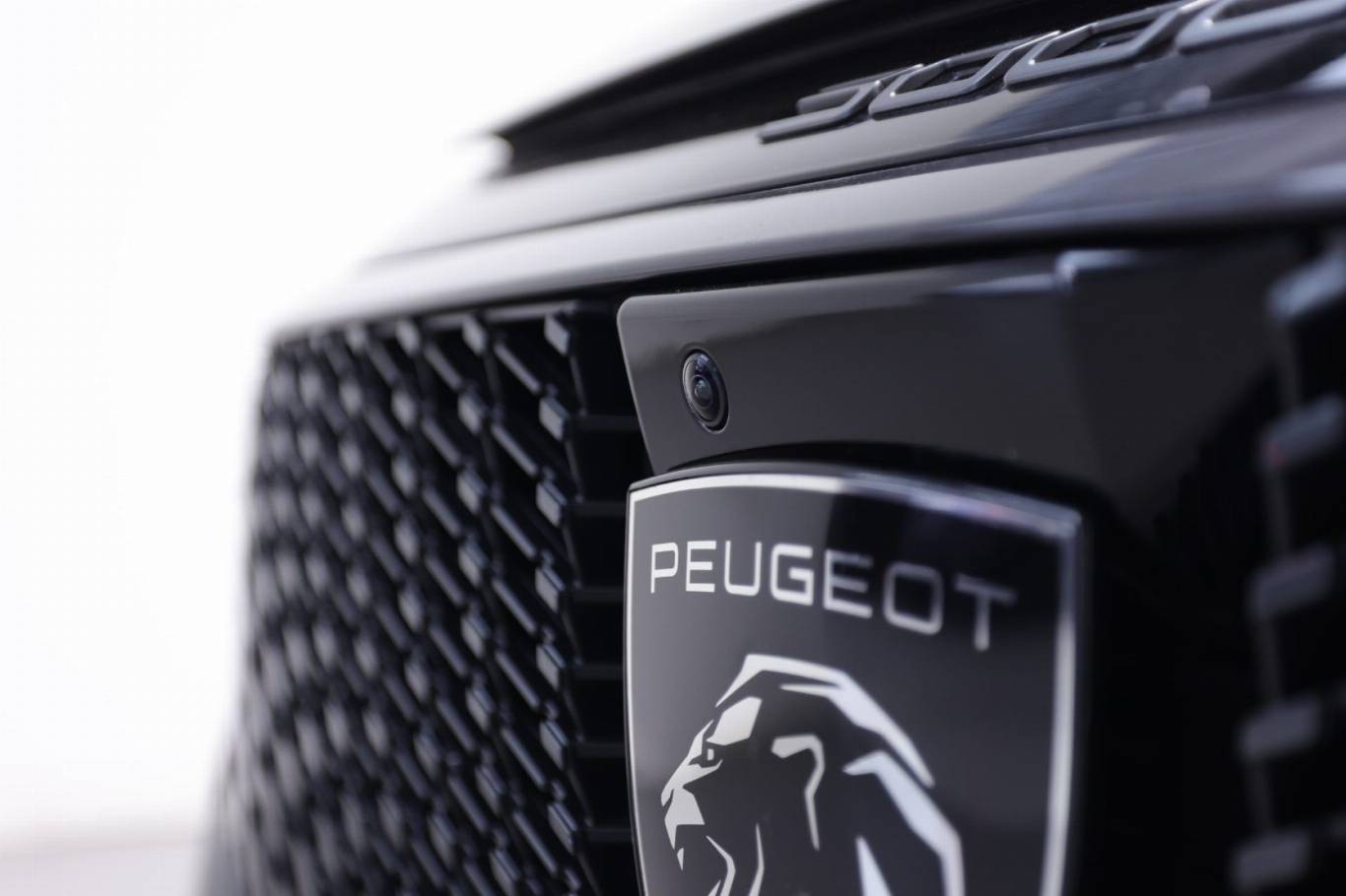 PEUGEOT 3008 52