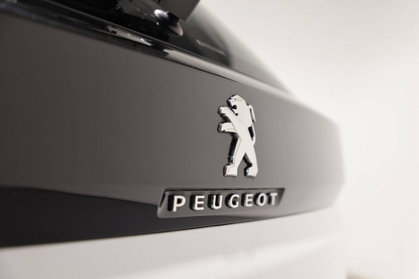 PEUGEOT 3008 48