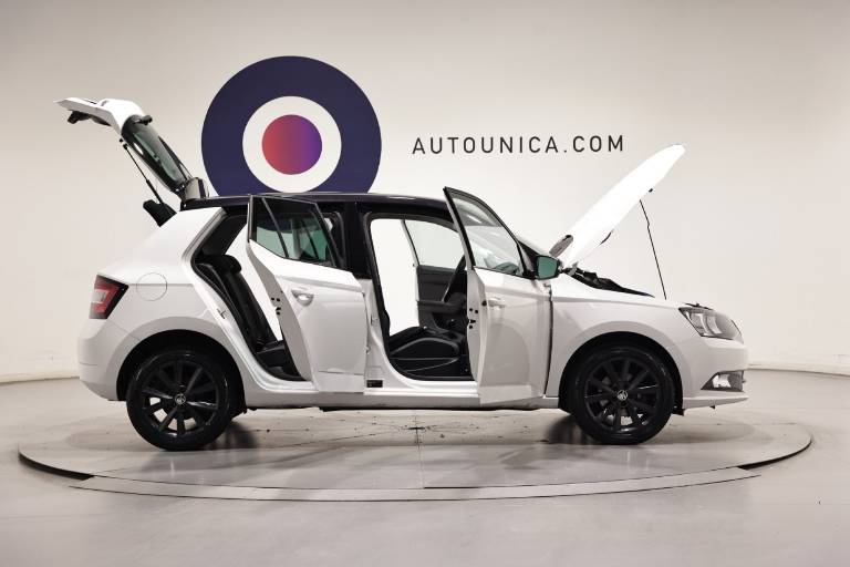 SKODA Fabia 59