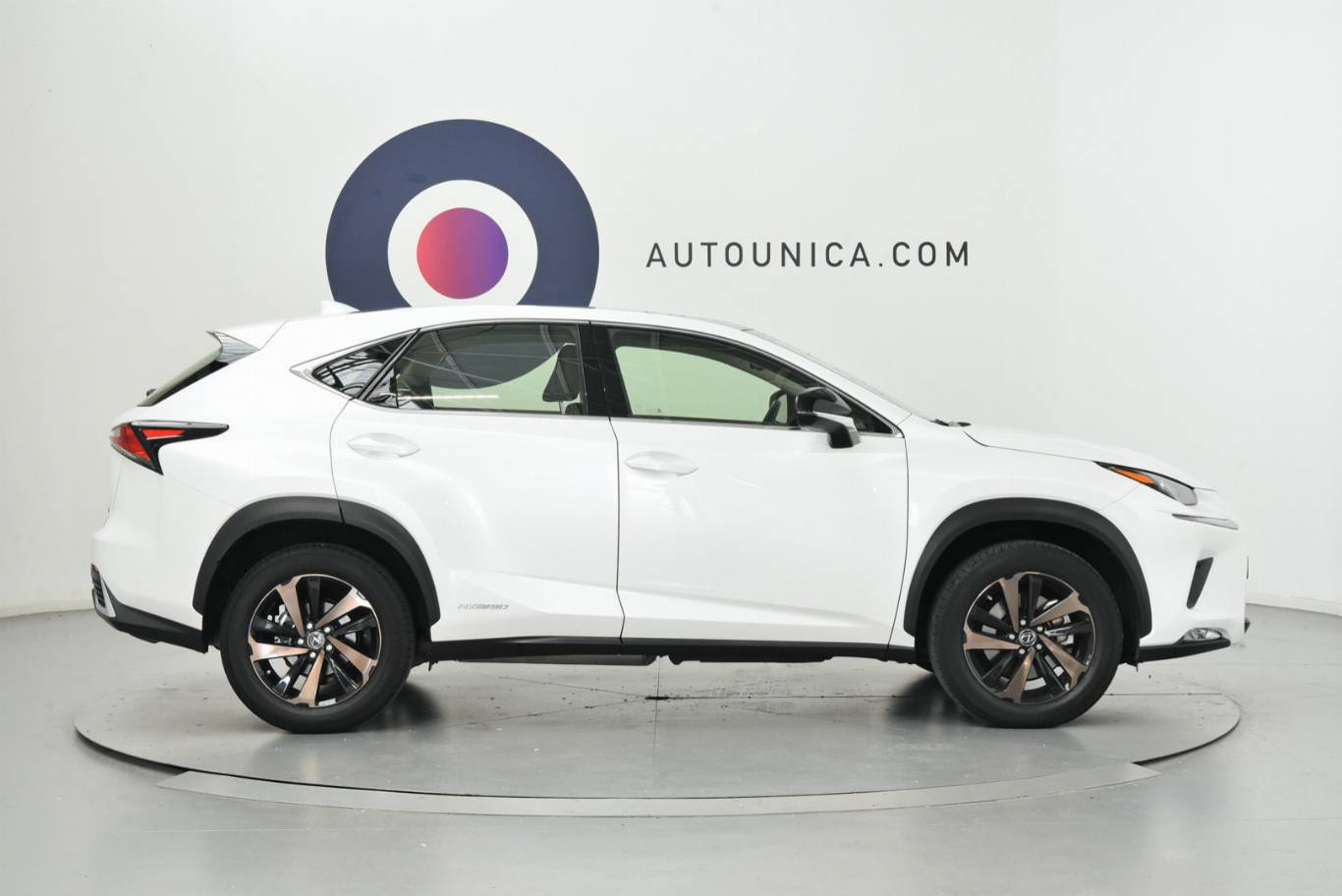 LEXUS NX 300 29
